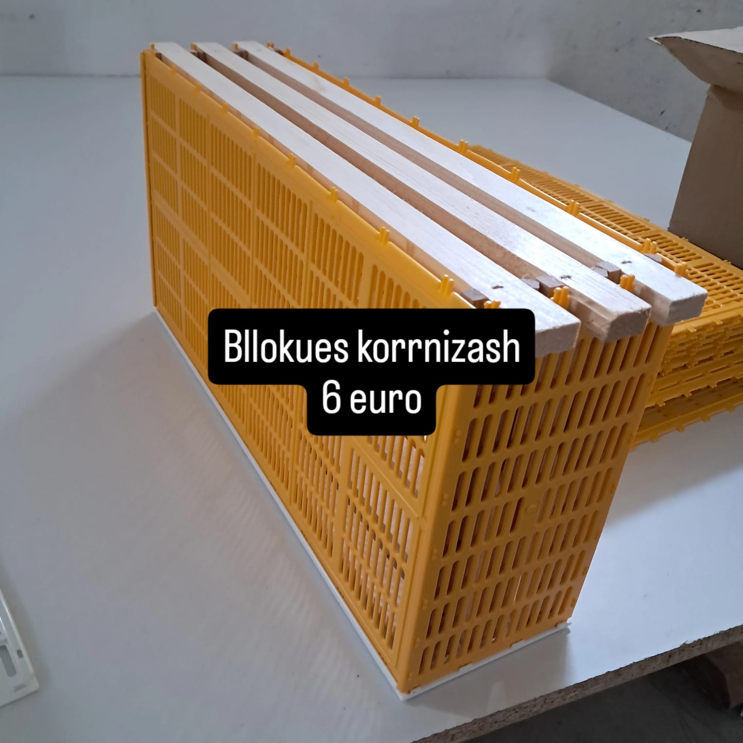 Bllokues koshere